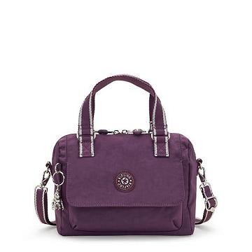 Kipling Zeva Handbag Handbag Paars | BE 1287AH